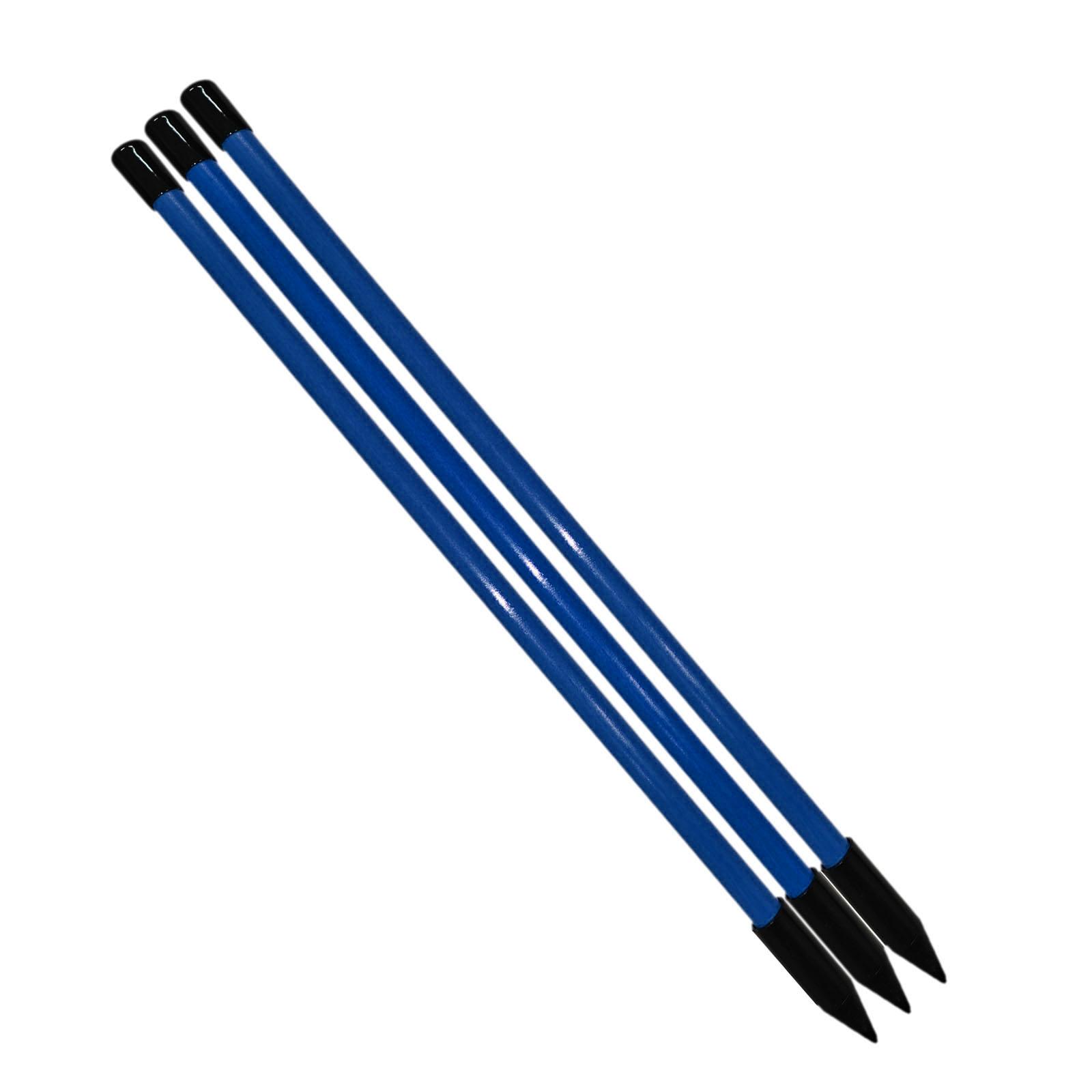 골프 훈련 스틱 정렬봉 컴팩트 스윙 및 퍼팅 가이드 골 - Alignment Stick Set 리뷰 및 가격